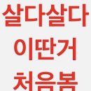세븐틴 RIGHT HERE 콘서트 후기 :: 내 사랑이 겨우 이것밖에.. 안돼? 마음 식은 후 간 콘서트