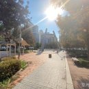 광장73호 이미지