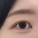 봄설네일