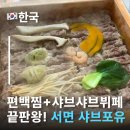금랑 | 편백찜+샤브샤브+월남쌈을 무한으로! 서면점심맛집 샤브포유 서면전포점 남녀노소 좋아하는 서면무한...