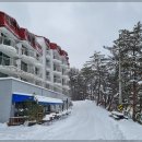 숲사이길펜션 이미지