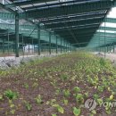 광대발전소 이미지