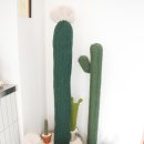 더블디 이미지