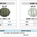 (주)세종이엔지 이미지