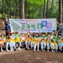 알프스 유아숲체험원 이미지