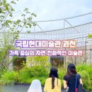 디앤피기획 | [과천 가볼만한곳] 국립현대미술관 과천 나들이: 주차 팁부터 솔직한 방문 후기까지!