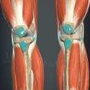 연세경희한의원 | 눈 온날 넘어지신 후 무릎 통증 환자분 선물후기