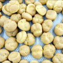 [북부] 제과제빵기능사 준비과정(2025) | 부평제과제빵학원 제과기능사 자격증 슈 만들기