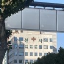 선사내과의원 네이버블로그