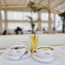 월호목장 | 하남 카페 분위기에 감탄했던 하남 대형카페