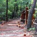 힐링섬 코스 이미지