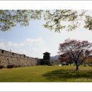 장안공원 이미지