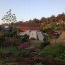 진경원민박캠핑장 이미지