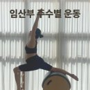 에스원중기 | 인천 송도 필라테스 임산부 레슨 주수에 맞춰 운동해요 with. 짐볼