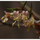 상만목장 이미지