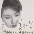 와일드캣츠