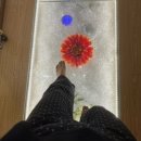 꽃길로 노래연습장 이미지