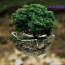 하늘빛샘장애인주간보호센터 이미지