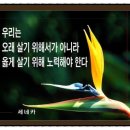 볶으면돼지