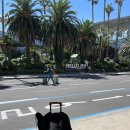 강아지맘마연구소 이미지