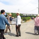 주상전하 - 음성군 | 주상전하