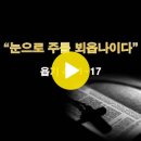 욥기 42:1~17 / 눈으로 주를 뵈옵나이다 / 2023년 12월 20일(수) 이미지