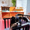 카페템스 이미지