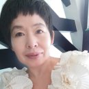 창조시스템