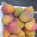 자래리농장 이미지