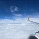 명문약국 | 미야자키 골프여행 피닉스CC 톰왓슨CC 후기 | 4월 일본 골프 여유있는 라운드 추천