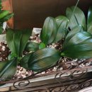 연세느티나무치과의원 이미지