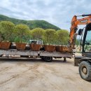 버드글램핑 이미지