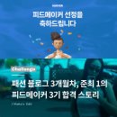 애드서포터 | [공지] 패션 피드메이커 3기 합격! 블로그 3개월차 운영, 블린이 선정 스펙 공개
