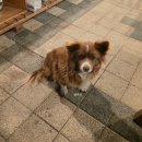 부여우체국 1,2층 | 초동펜션 | 충남 부여 4인 펜션 추천 , 1+2층 하늘채 독채 숙박후기 , 내돈내산