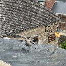 프랑스 근교투어 :: 몽생미셸 투어, 식당 La Ferme St Michel)
