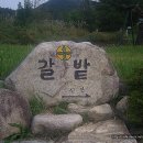 신안갈전마을 이미지