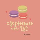 마카롱 이미지