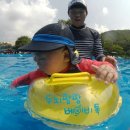 올림피아 수영장 이미지