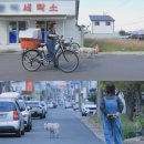 백구조명