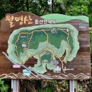 신기사거리_하 이미지