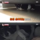 영옥농장 이미지