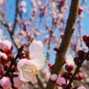 율리2농장 이미지