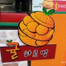 귤하르방 이미지