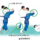 미르유도관 이미지