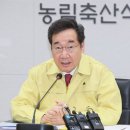 상상돼지 이미지