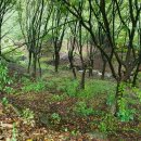 덕기마을회관 이미지