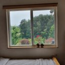 양양에 살다 이미지