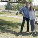 영화 안녕 베일리(A Dog's Journey , 2019) 후기 헨리의 할리우드 데뷔 작 약간의 스포