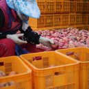 다마소리 이미지