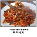 상림축산 | 함양맛집 매콤하고 쫄깃한 점심 한 끼 추천 ft 뻑떡낙지